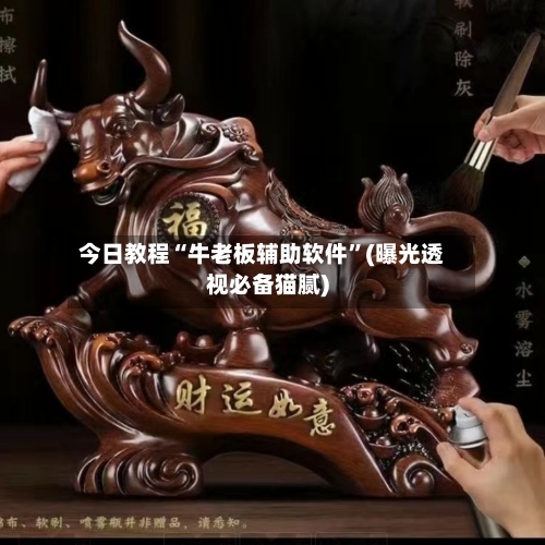 今日教程“牛老板辅助软件	”(曝光透视必备猫腻)-第1张图片