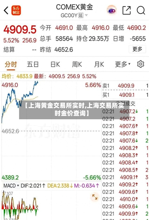 【上海黄金交易所实时,上海交易所实时金价查询】-第1张图片