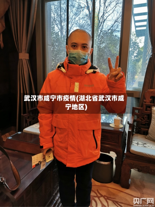 武汉市咸宁市疫情(湖北省武汉市咸宁地区)-第1张图片