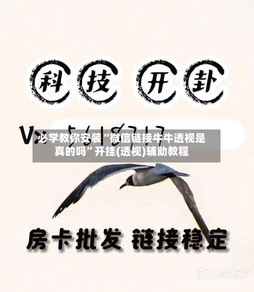 必学教你安装“微信链接牛牛透视是真的吗	”开挂(透视)辅助教程-第2张图片