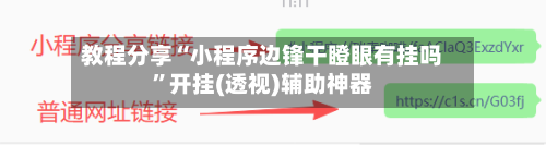 教程分享“小程序边锋干瞪眼有挂吗”开挂(透视)辅助神器-第3张图片