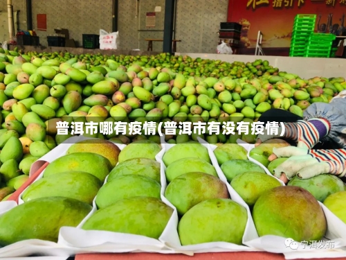 普洱市哪有疫情(普洱市有没有疫情)-第1张图片