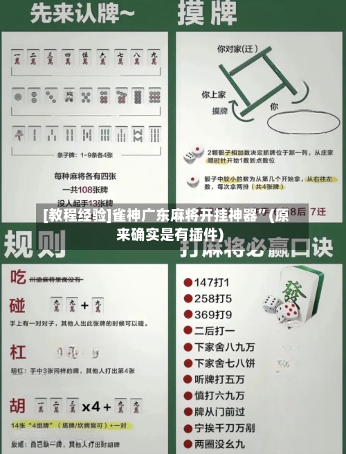 [教程经验]雀神广东麻将开挂神器”(原来确实是有插件)-第2张图片