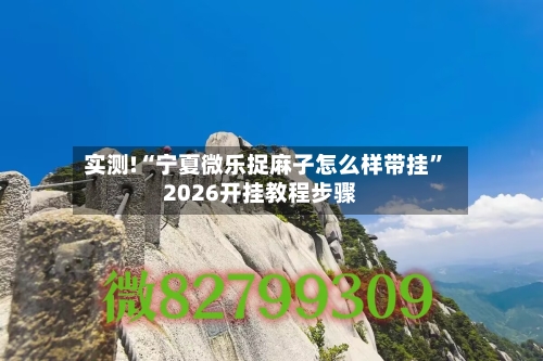 实测!“宁夏微乐捉麻子怎么样带挂”2026开挂教程步骤-第2张图片
