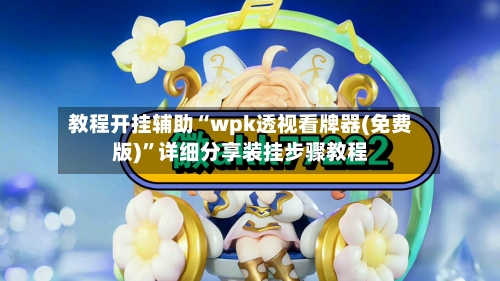 教程开挂辅助“wpk透视看牌器(免费版)”详细分享装挂步骤教程-第2张图片