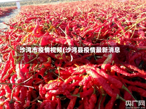 沙湾市疫情视频(沙湾县疫情最新消息)-第1张图片