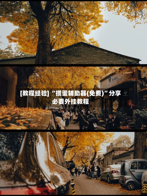 [教程经验] “掼蛋辅助器(免费)	”分享必要外挂教程-第2张图片