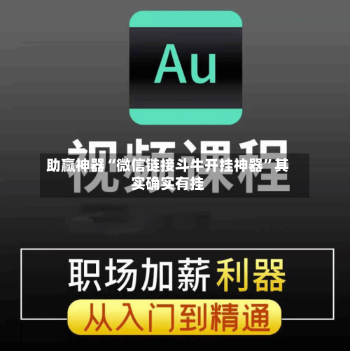助赢神器“微信链接斗牛开挂神器”其实确实有挂-第2张图片
