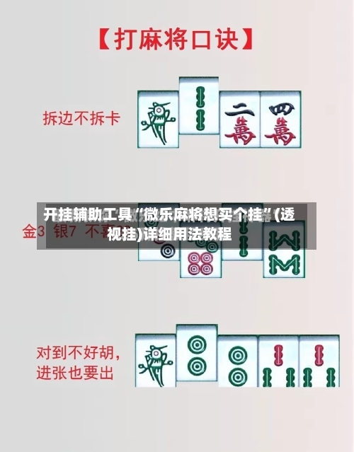 开挂辅助工具“微乐麻将想买个挂”(透视挂)详细用法教程-第2张图片