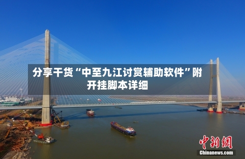 分享干货“中至九江讨赏辅助软件”附开挂脚本详细-第1张图片