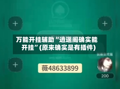 万能开挂辅助“逍遥阁确实能开挂	”(原来确实是有插件)-第2张图片
