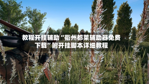 教程开挂辅助“衢州都莱辅助器免费下载	”附开挂脚本详细教程-第1张图片