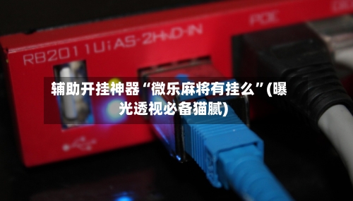 辅助开挂神器“微乐麻将有挂么”(曝光透视必备猫腻)-第1张图片
