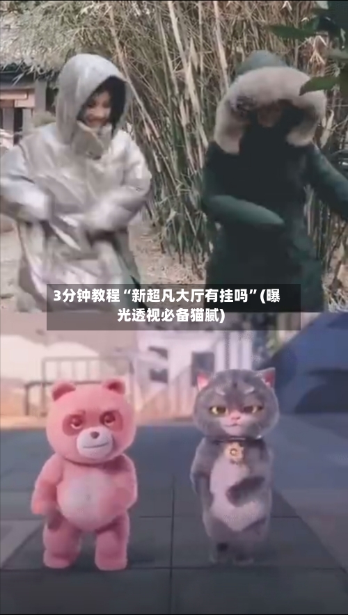 3分钟教程“新超凡大厅有挂吗”(曝光透视必备猫腻)-第2张图片