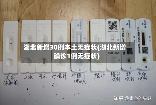 湖北新增30例本土无症状(湖北新增确诊1例无症状)-第3张图片