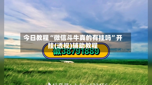 今日教程“微信斗牛真的有挂吗”开挂(透视)辅助教程-第2张图片