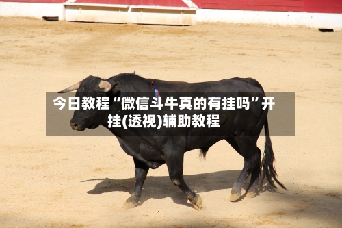 今日教程“微信斗牛真的有挂吗	”开挂(透视)辅助教程-第3张图片