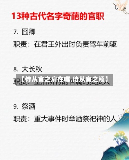 【侍从官之肩在哪,侍从官之颅】-第2张图片