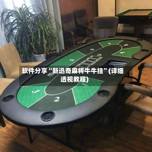 软件分享“新迅奇麻将牛牛挂	”(详细透视教程)-第2张图片