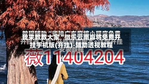 我来教教大家“微乐云南麻将免费开挂手机版(开挂)-辅助透视教程-第3张图片
