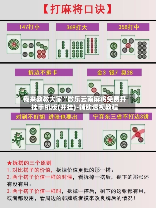 我来教教大家“微乐云南麻将免费开挂手机版(开挂)-辅助透视教程-第2张图片