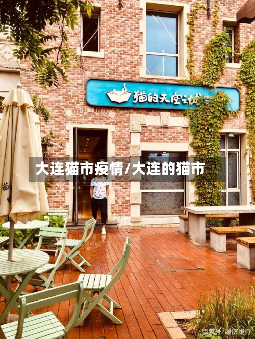 大连猫市疫情/大连的猫市-第1张图片