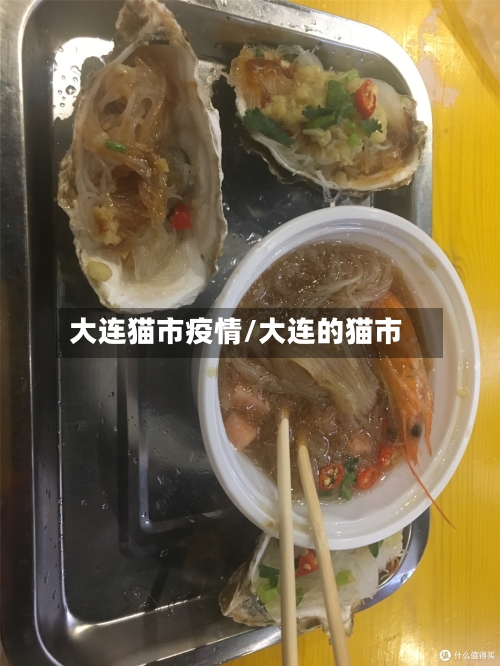 大连猫市疫情/大连的猫市-第3张图片