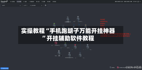 实操教程“手机跑胡子万能开挂神器”开挂辅助软件教程-第3张图片