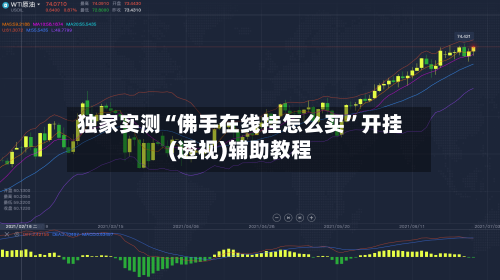 独家实测“佛手在线挂怎么买”开挂(透视)辅助教程-第2张图片