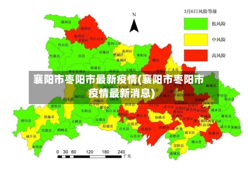 襄阳市枣阳市最新疫情(襄阳市枣阳市疫情最新消息)-第1张图片