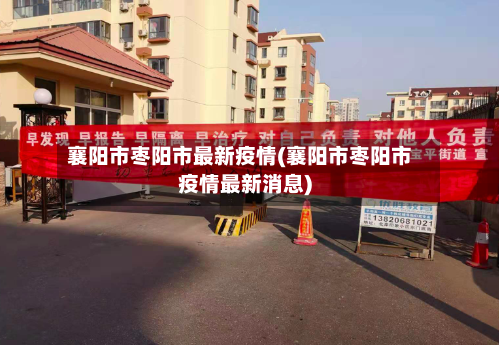 襄阳市枣阳市最新疫情(襄阳市枣阳市疫情最新消息)-第2张图片