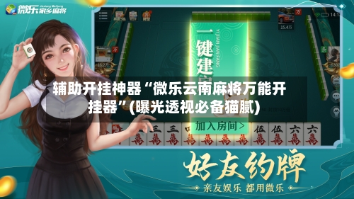 辅助开挂神器“微乐云南麻将万能开挂器	”(曝光透视必备猫腻)-第2张图片