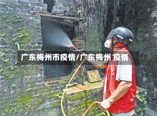 广东梅州市疫情/广东梅州 疫情-第2张图片
