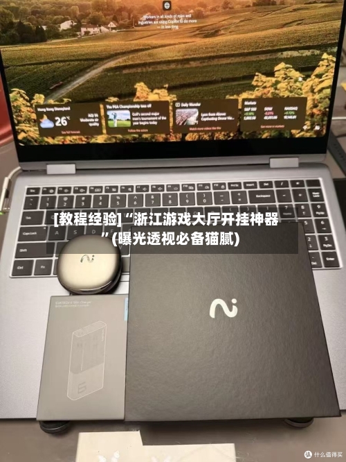 [教程经验]“浙江游戏大厅开挂神器”(曝光透视必备猫腻)-第2张图片