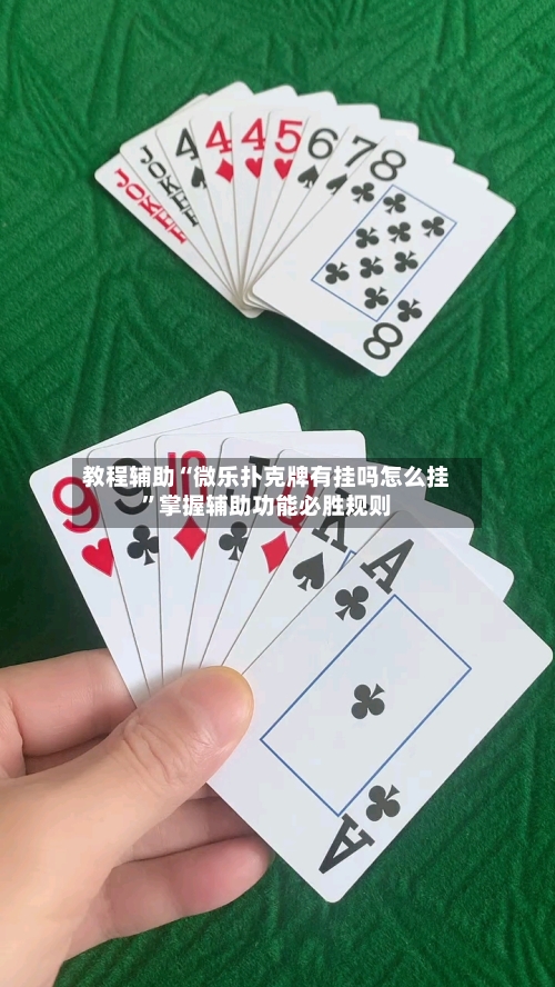 教程辅助“微乐扑克牌有挂吗怎么挂	”掌握辅助功能必胜规则-第2张图片
