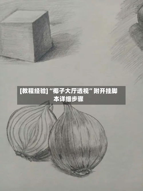 [教程经验]“椰子大厅透视	”附开挂脚本详细步骤-第3张图片