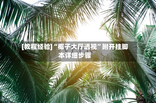 [教程经验]“椰子大厅透视”附开挂脚本详细步骤-第1张图片
