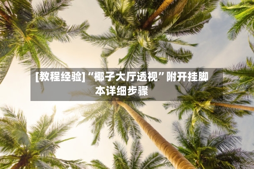 [教程经验]“椰子大厅透视”附开挂脚本详细步骤-第2张图片