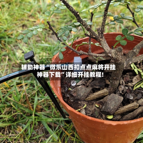 辅助神器“微乐山西扣点点麻将开挂神器下载	”详细开挂教程!-第3张图片