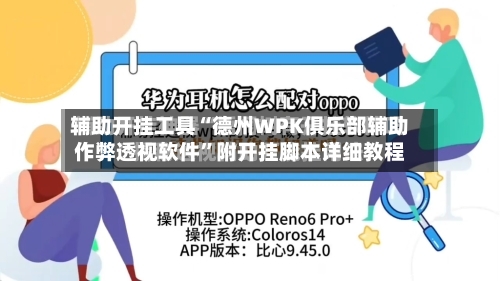 辅助开挂工具“德州WPK俱乐部辅助作弊透视软件”附开挂脚本详细教程-第2张图片