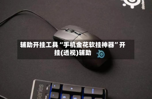 辅助开挂工具“手机金花软挂神器	”开挂(透视)辅助-第1张图片