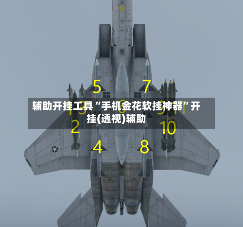 辅助开挂工具“手机金花软挂神器”开挂(透视)辅助-第3张图片