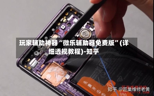 玩家辅助神器“微乐辅助器免费版”(详细透视教程)-知乎-第3张图片