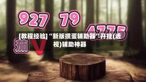 [教程经验]“新版掼蛋辅助器”开挂(透视)辅助神器-第1张图片