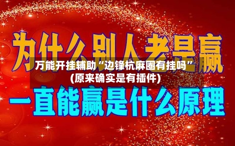 万能开挂辅助“边锋杭麻圈有挂吗”(原来确实是有插件)-第3张图片
