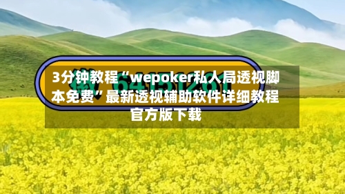 3分钟教程“wepoker私人局透视脚本免费”最新透视辅助软件详细教程官方版下载-第2张图片