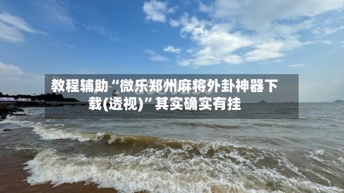 教程辅助“微乐郑州麻将外卦神器下载(透视)”其实确实有挂-第3张图片