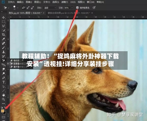教程辅助！“捉鸡麻将外卦神器下载安装”透视挂!详细分享装挂步骤-第3张图片