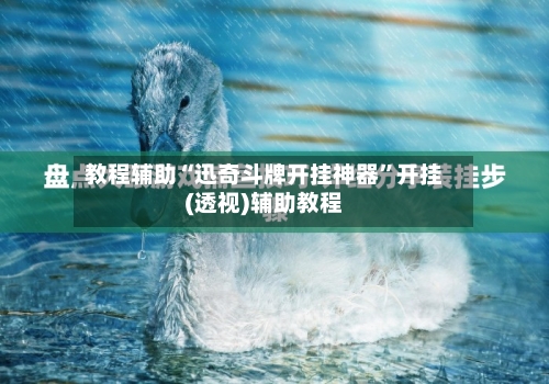 教程辅助“迅奇斗牌开挂神器	”开挂(透视)辅助教程-第3张图片