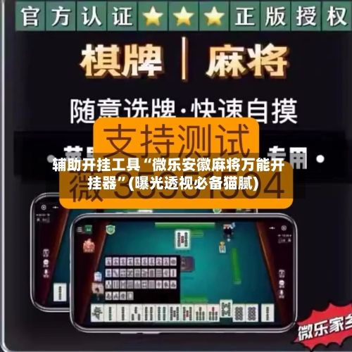 辅助开挂工具“微乐安徽麻将万能开挂器”(曝光透视必备猫腻)-第2张图片